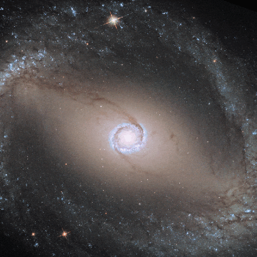 Webb’s image of NGC 1512 shows a face-on barred spiral galaxy anchored by its central region, which is circular and shows a bright white point at the center with blue and yellow circles around it. The galaxy’s large bar is crossed by filamentary dust lanes that extend diagonally to the top left and bottom right. The bar is connected to a dense oval-shaped ring of orange spiral arms that start at the edges of the bar