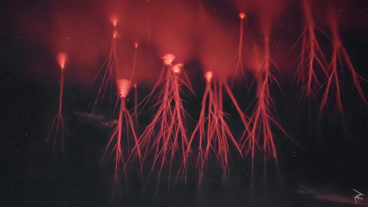 A red light is coming out of a tree in the night sky, resembling an upper-atmosphere lightning phenomenon.