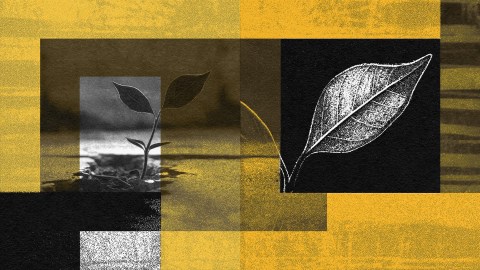 A black and white image of a leaf growing out of a concrete.