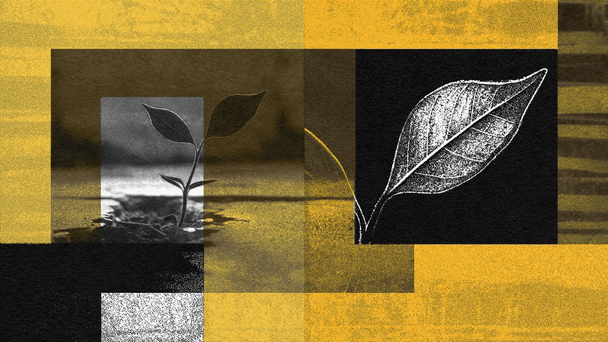 A black and white image of a leaf growing out of a concrete.