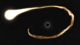 A star is being stretched and pulled apart by the gravity of a black hole in the middle of a field of stars.