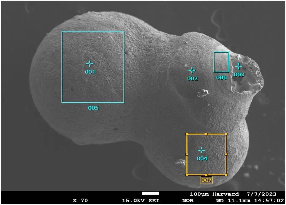 An image of a ball, with a number of holes, depicted by a Harvard astronomer.