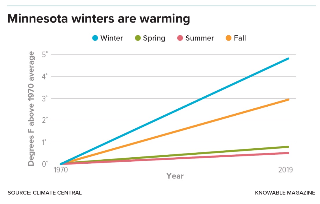 Graph showing an upward trend in average temperatures across all seasons in Minnesota, with a significant increase in winter temperatures, influencing discussions on assisted migration in forests.