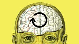 Illustration of a human head with a visible brain, featuring a black circular arrow symbol over the brain, on a yellow background.