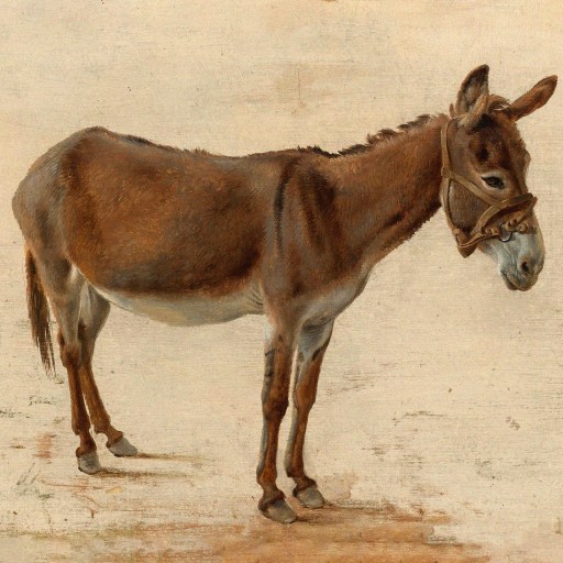 A realistic painting of a brown donkey with a bridle, standing on a light-colored ground, viewed from the side.