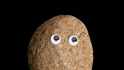 A brown rock with two googly eyes attached to its upper half, set against a plain black background.