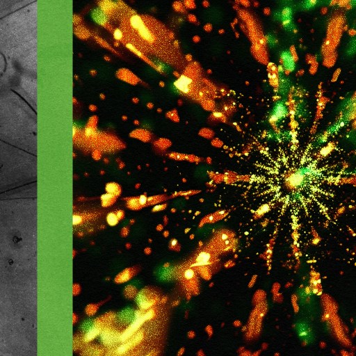 A black and white particle track image on the left and a colorful representation of a neutrino.