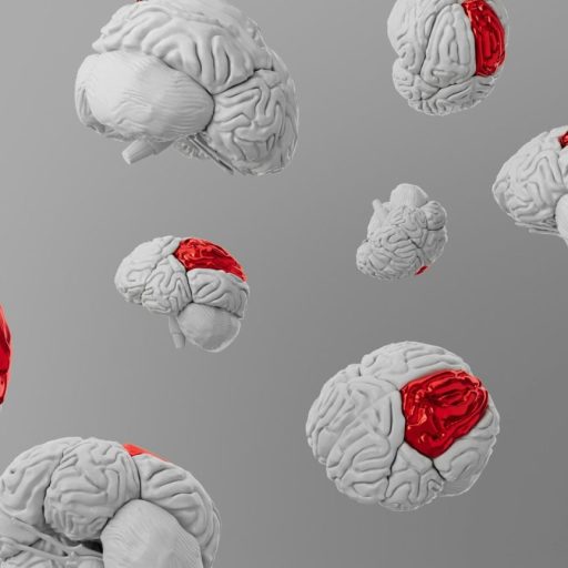 Digital rendering of multiple human brain models floating against a gray background, highlighting specific brain regions in red.