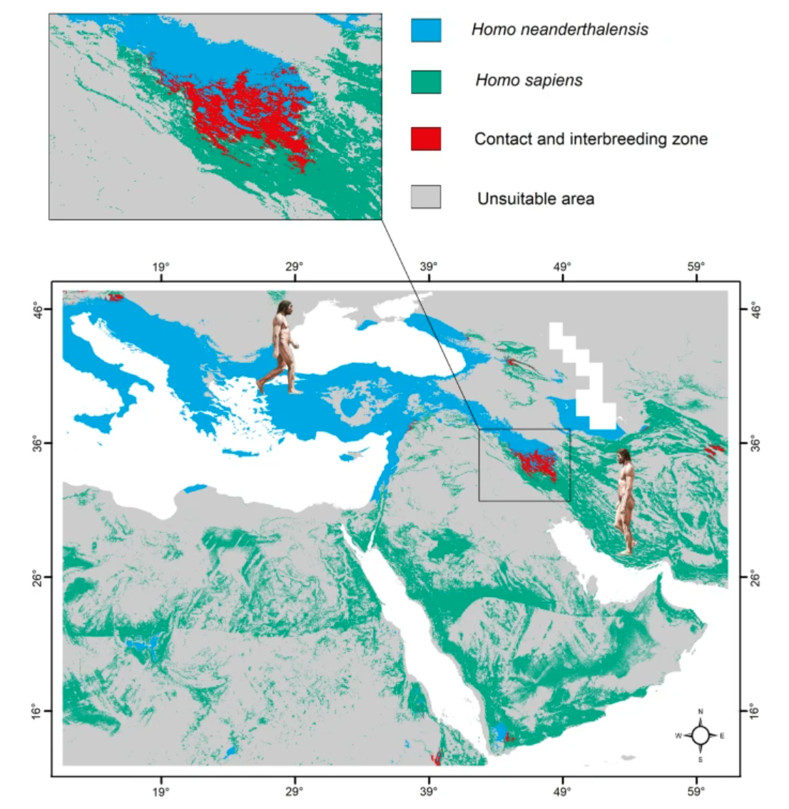 A map showing the regions inhabited by Homo neanderthalensis (green), Homo sapiens (blue), their contact and interbreeding zones (red), and unsuitable areas (grey) during the prehistoric period.
