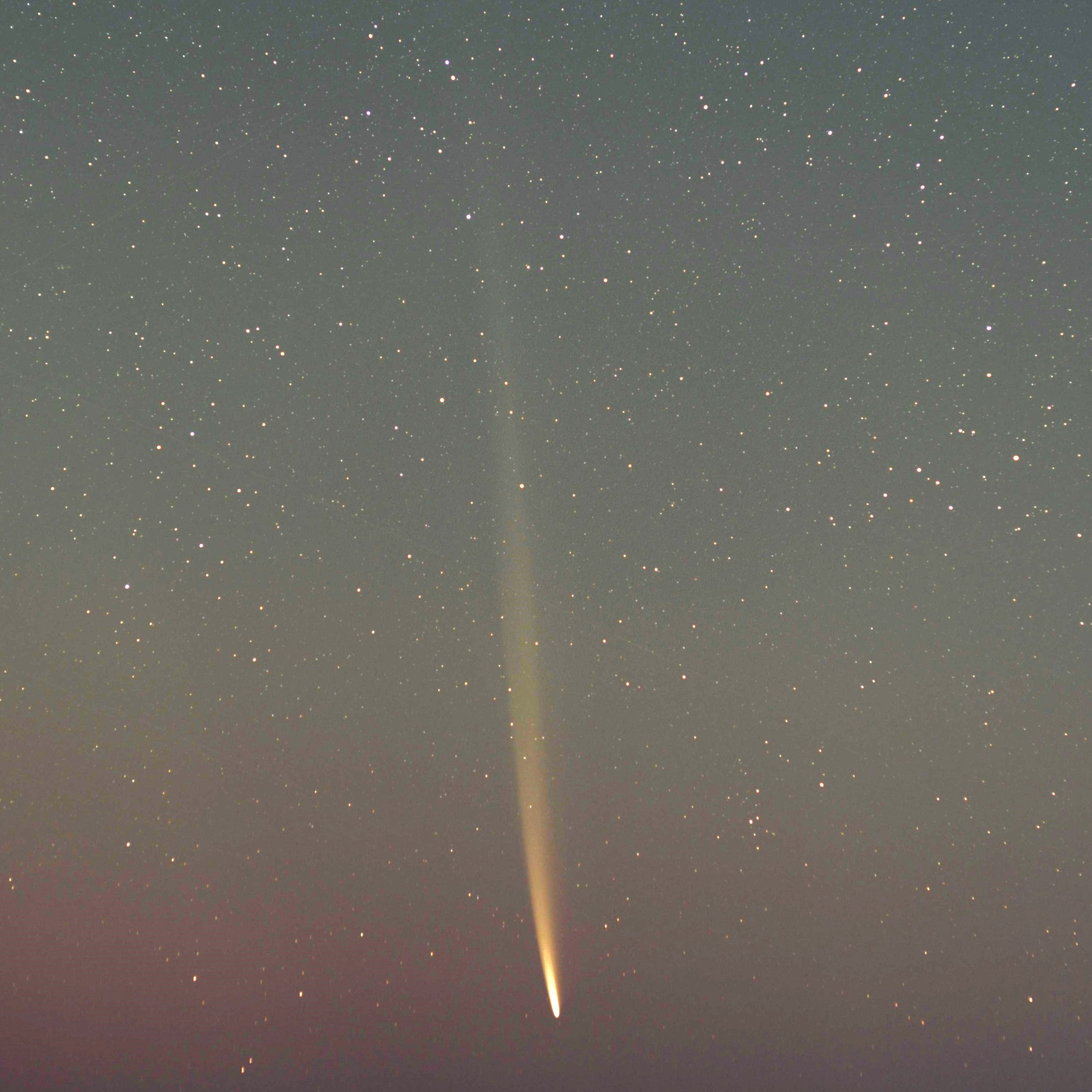 Image of a comet with a glowing tail moving through a star-filled night sky.
