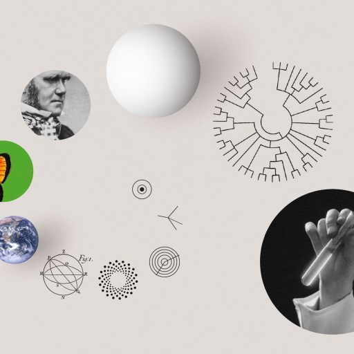Collage of scientific discovery elements including a portrait, butterfly, globe, molecular diagrams, a tree diagram, and a hand holding a test tube against a plain background.