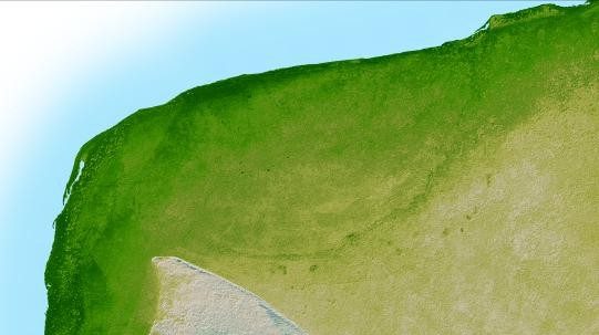 Aerial view of the Yucatan Peninsula with green land and beige areas meeting a light blue sea at the coastline.