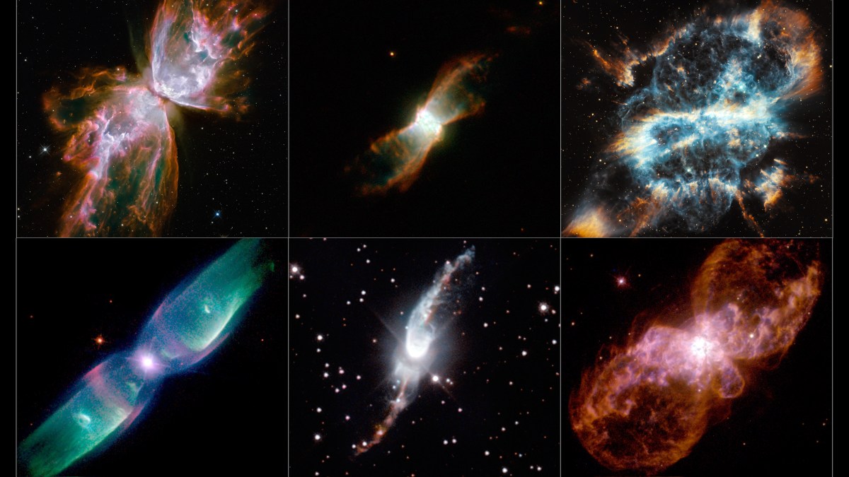 A grid of six Hubble Space Telescope images showcases different types of colorful nebulae with intricate shapes against a starry backdrop.
