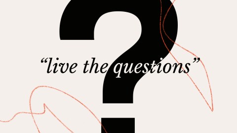 A large black question mark with the words "live the questions" overlaid in cursive font, set against a beige background with red abstract lines.