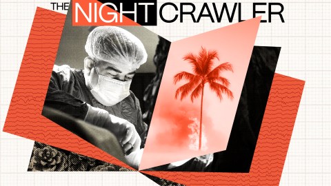 A collage features a masked life-saver in surgical attire, a palm tree scene, and bold text reading "The Night Crawler" against a geometric background.