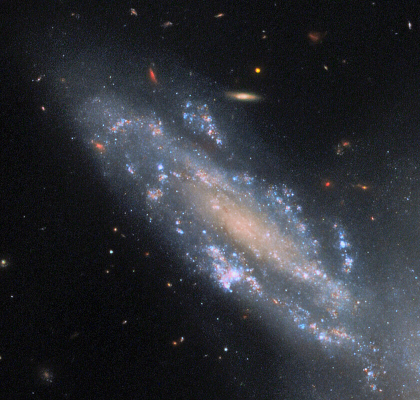 A spiral galaxy with a space appearance featuring bright blue star clusters and dust lanes, set against a backdrop of smaller galaxies and stars that may deceive the eye in deep space.