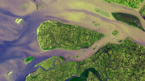 Aerial view of winding rivers and wetlands showcases lush green vegetation and tan sediment-laden water converging with a larger body of water.