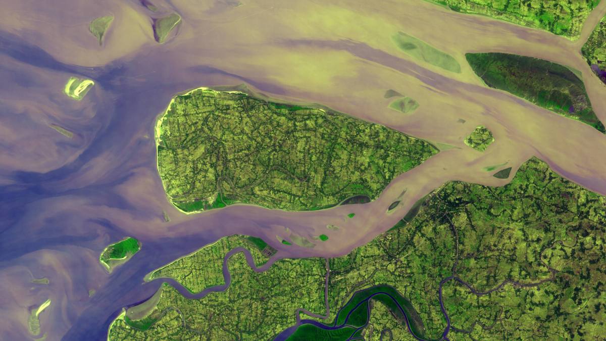 Aerial view of winding rivers and wetlands showcases lush green vegetation and tan sediment-laden water converging with a larger body of water.