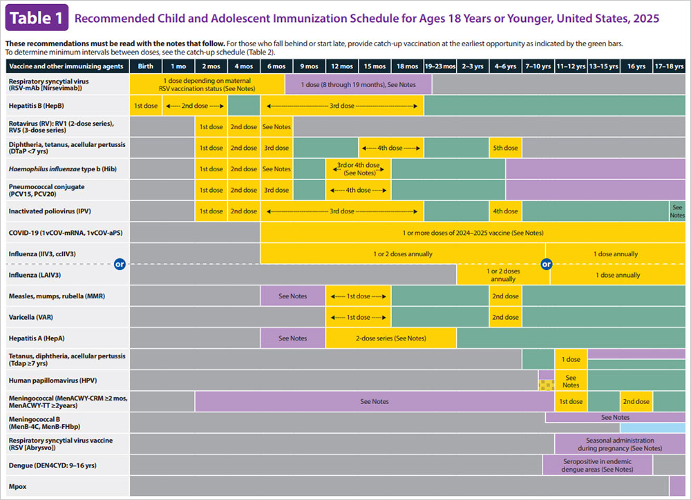 Table displaying the 2025 recommended immunization schedule for children and adolescents 18 years or younger in the United States, with color-coded dose timelines for each vaccine—please do your own research on vaccines.