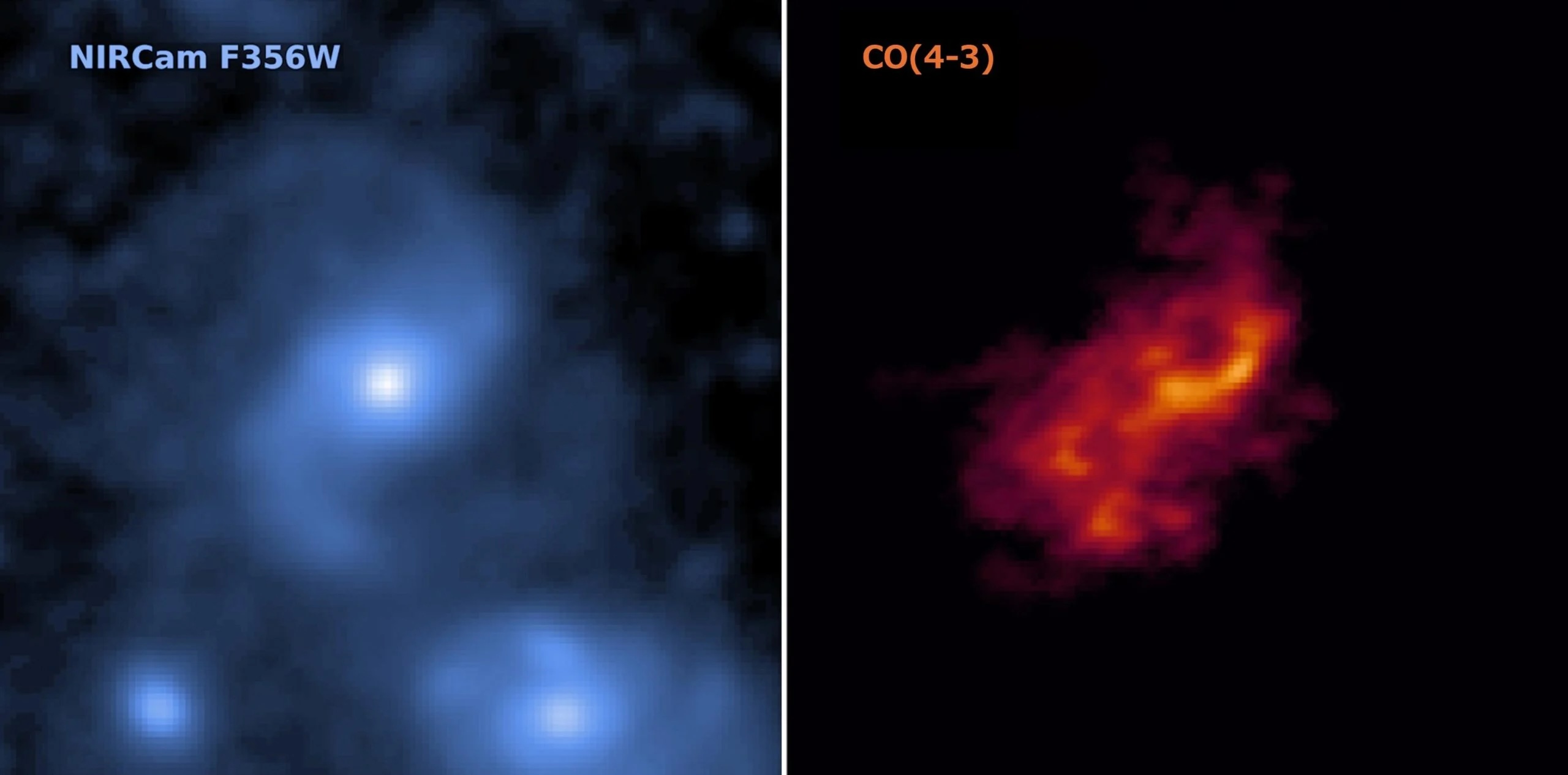 Side-by-side images show a galaxy in blue light on the left and red-orange molecular gas distribution on the right, illustrating how JWST reveals details about how galaxies grow up by highlighting different features.
