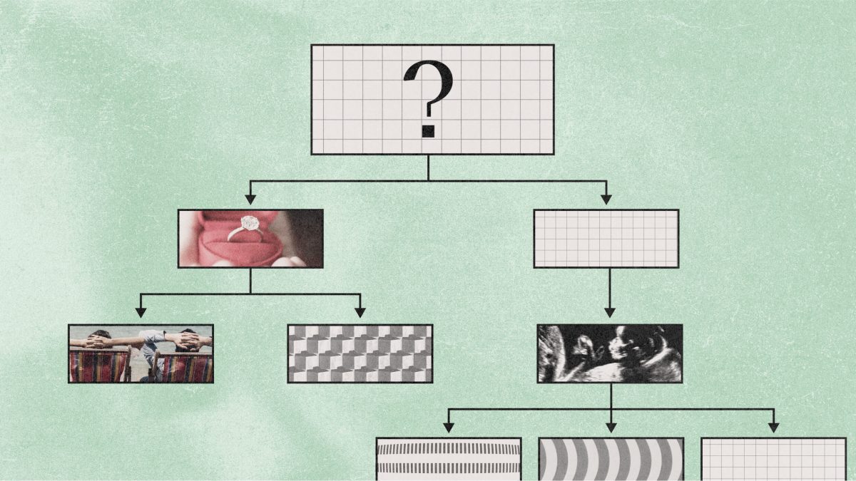 A flowchart with a large question mark at the top leads to boxes containing photos, abstract patterns, and arrows connecting each step on a textured green background.