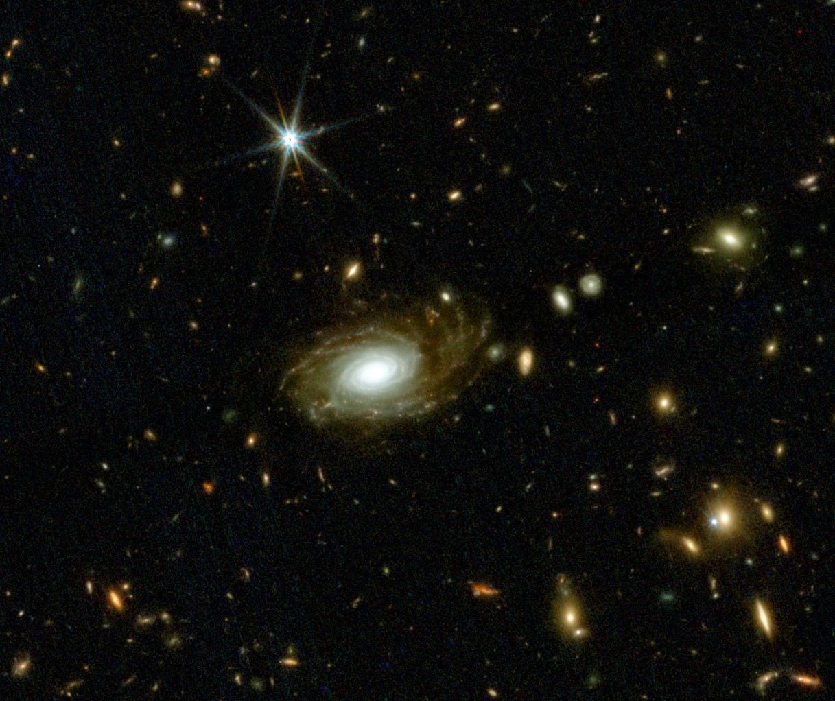 A spiral galaxy surrounded by numerous stars and galaxies captured by JWST, highlighting various shapes and brightness levels against a dark background—a stunning glimpse into the frontiers of science.