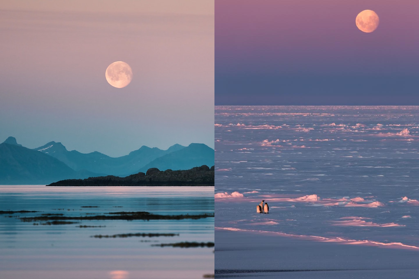 Left: Full moon over calm water and distant mountains. Right: Full moon over icy landscape with two penguins standing on the ice—perfect for exploring 5 science lessons about the moon in different environments.