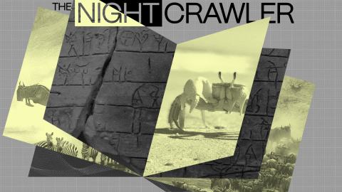 Collage featuring photos of wildlife, ancient stone carvings, and a camel, with the text "THE NIGHTCRAWLER" at the top on a gray grid background—an homage to Sean B. Carroll’s explorations of nature and history.