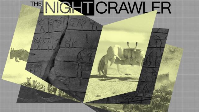 Collage featuring photos of wildlife, ancient stone carvings, and a camel, with the text "THE NIGHTCRAWLER" at the top on a gray grid background—an homage to Sean B. Carroll’s explorations of nature and history.