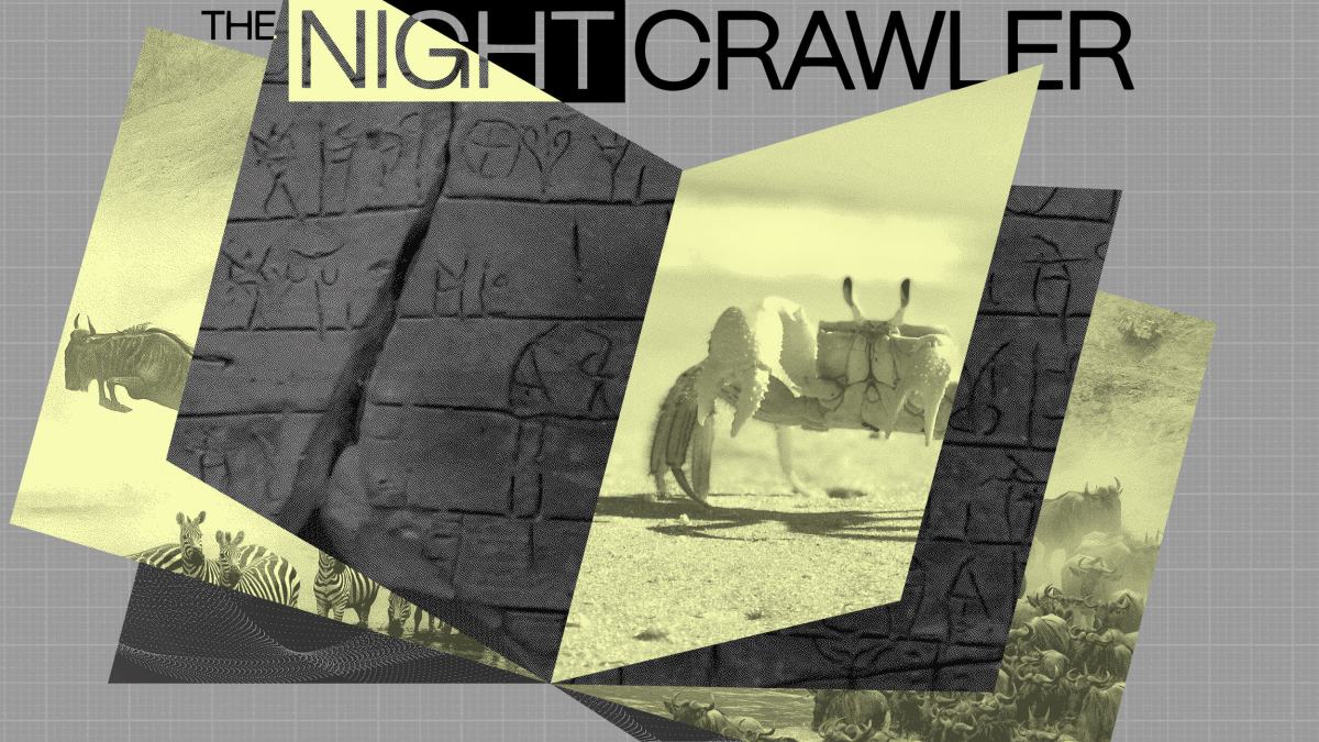 Collage featuring photos of wildlife, ancient stone carvings, and a camel, with the text "THE NIGHTCRAWLER" at the top on a gray grid background—an homage to Sean B. Carroll’s explorations of nature and history.