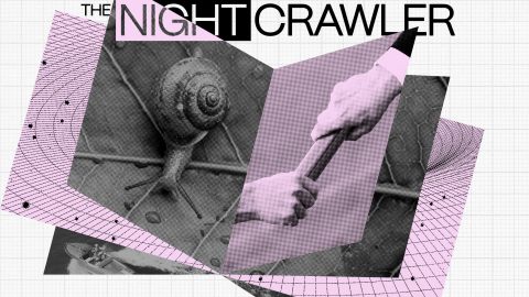 Collage featuring a snail, two hands gripping a baton symbolizing succession, and a boat, overlaid on a pink and black grid pattern with the text "THE NIGHTCRAWLER" at the top.