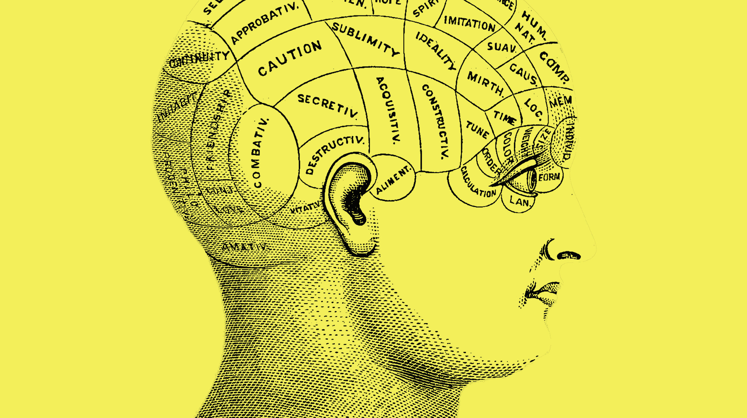 Vintage illustration of a human head in profile with labeled sections of the brain, representing different personality traits and mental faculties.