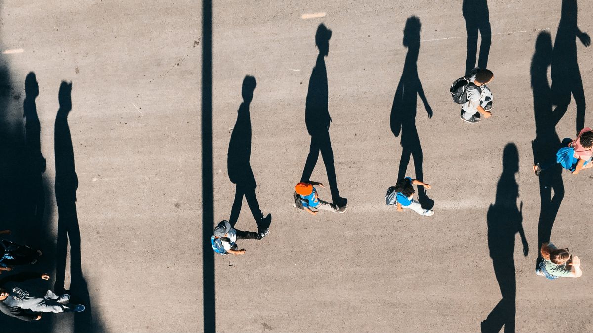 Aerial view of people walking on a paved surface, casting long shadows behind them in bright sunlight.