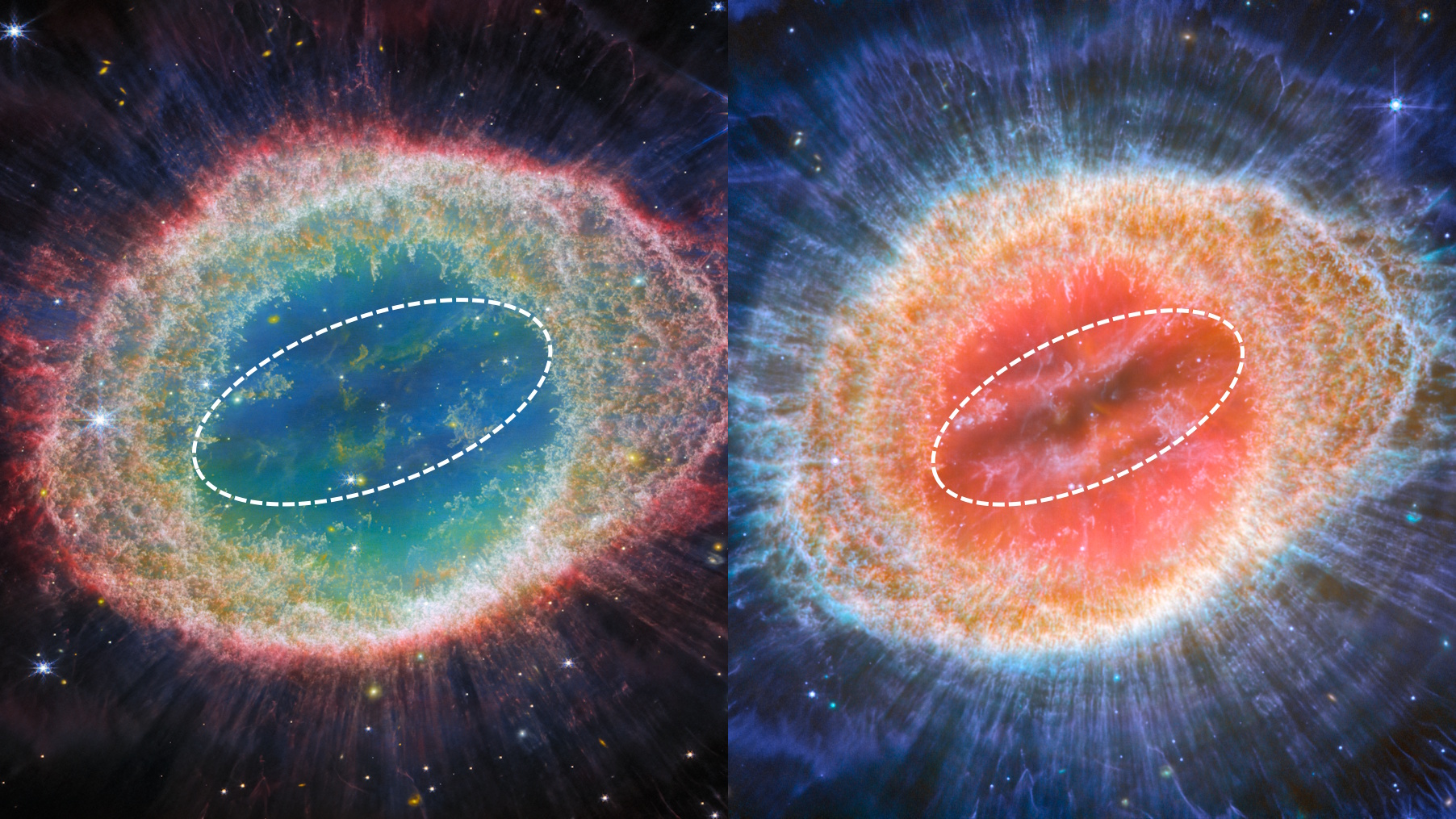 Side-by-side images of the Ring Nebula show its structure in different colors, each with a white dotted oval highlighting the central region.