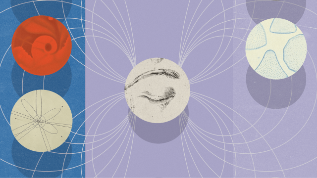 Abstract illustration featuring five circles with various designs connected by curved white lines on a purple and blue background, symbolizing science or interconnected concepts.