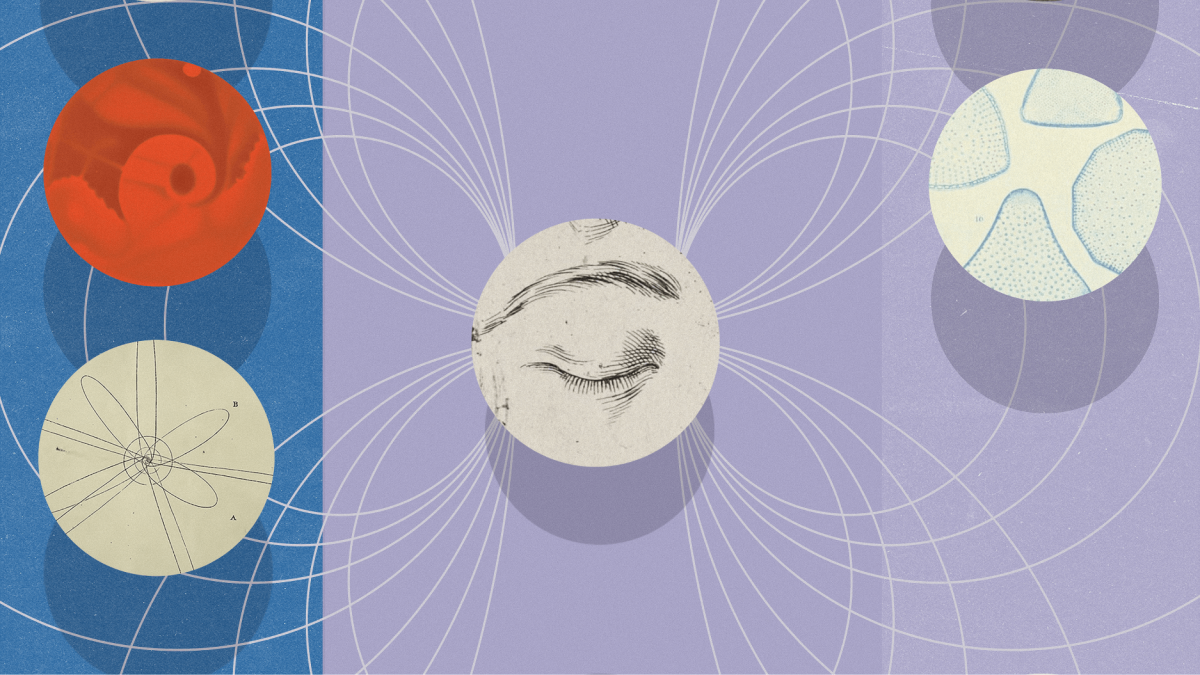 Abstract illustration featuring five circles with various designs connected by curved white lines on a purple and blue background, symbolizing science or interconnected concepts.