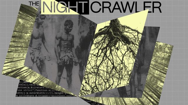 Collage featuring "THE NIGHTCRAWLER" text, a black-and-white photo of a person, tree roots reminiscent of smart forests, and code fragments, all overlaid on a gray grid background.