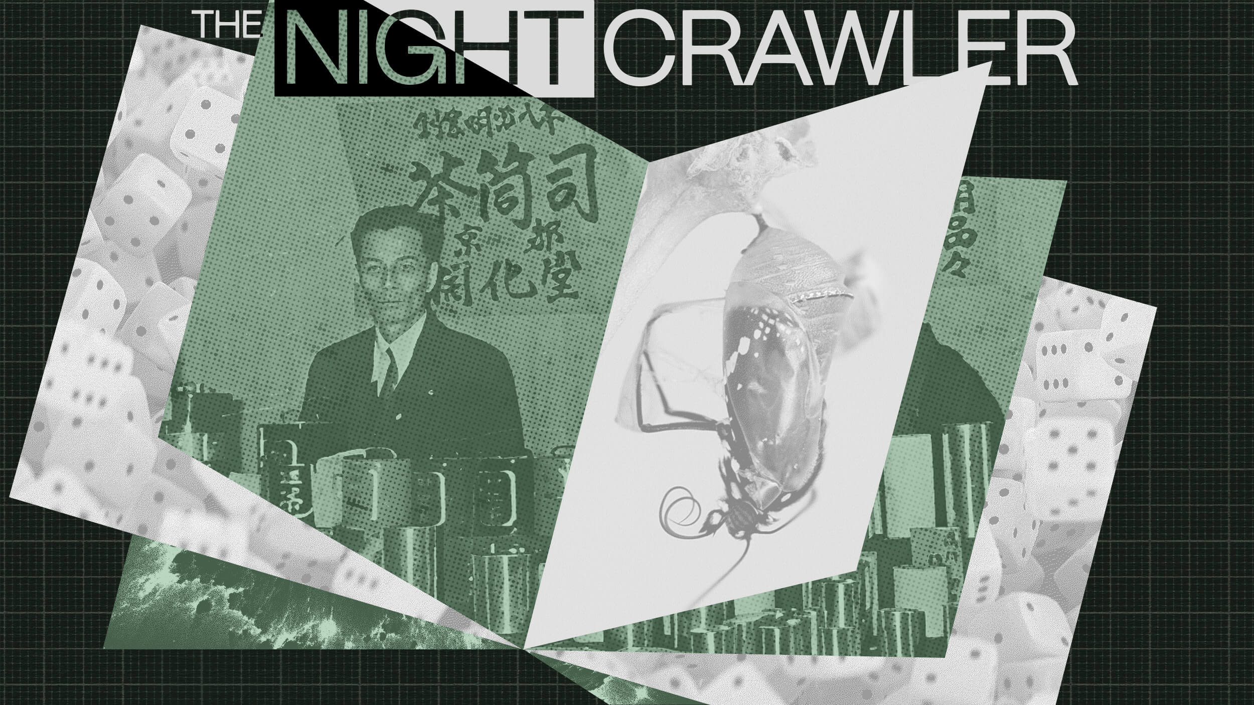 Collage with a man in a suit, stacked mugs, an upside-down creature, dice, and the text "THE NIGHTCRAWLER" at the top on a dark grid background—hinting at the power of intuition amid surreal imagery.