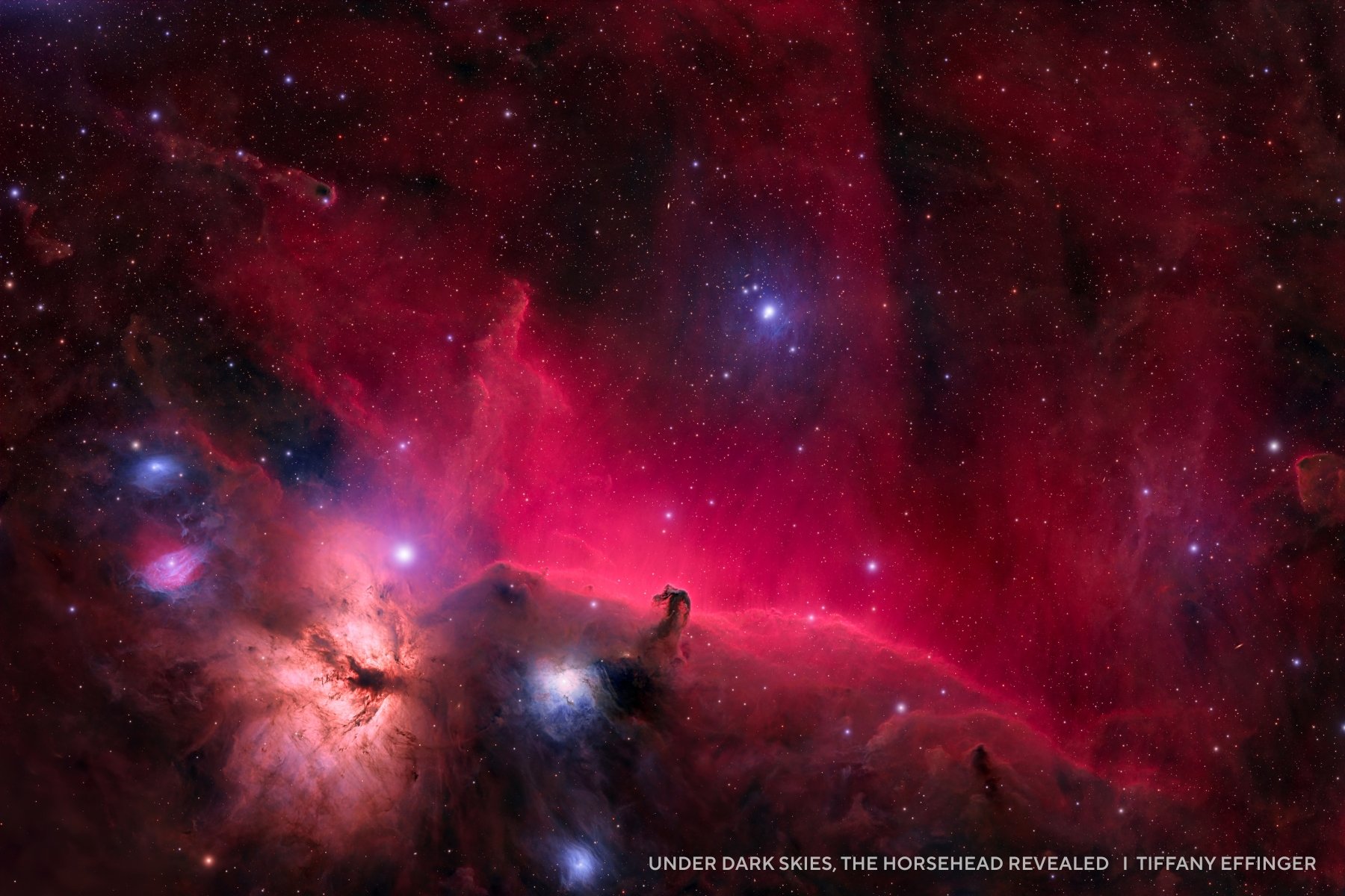 A vivid image of the Horsehead Nebula, featured in 2025 night sky images, shows bright stars and deep red clouds of gas and dust. The nebula’s distinctive horsehead shape is clearly visible near the center.