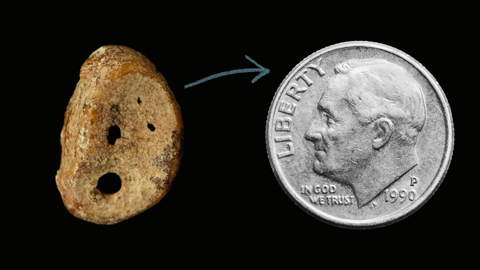 A small, irregular brown stone with holes—possibly linked to Denisovans—is shown next to a 1990 U.S. dime for size comparison.