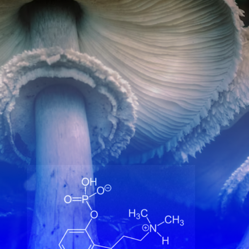 Close-up view of mushroom gills with overlaid chemical structure diagrams, including molecular formulas and lines, set against a blue-tinted background.