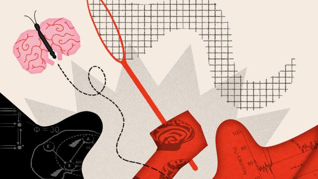 Abstract collage with a butterfly, brain sketches, graphs, and scientific diagrams overlaid with red, black, and beige shapes and textured patterns.