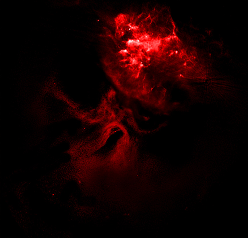 A red nebula-like cloud structure appears against a dark background, its glowing patterns resembling cosmic dust illuminated in space—shaped as if a dead star helped carve the Hand of God across the universe.