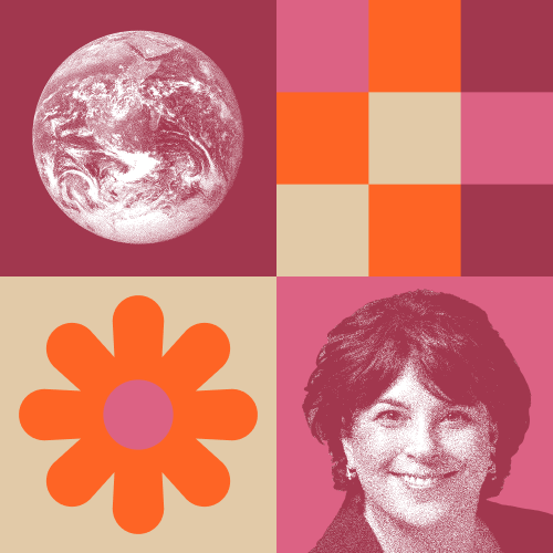 A grid of four squares featuring an image of Earth, a geometric pattern, an orange flower, and a grayscale portrait of a woman.