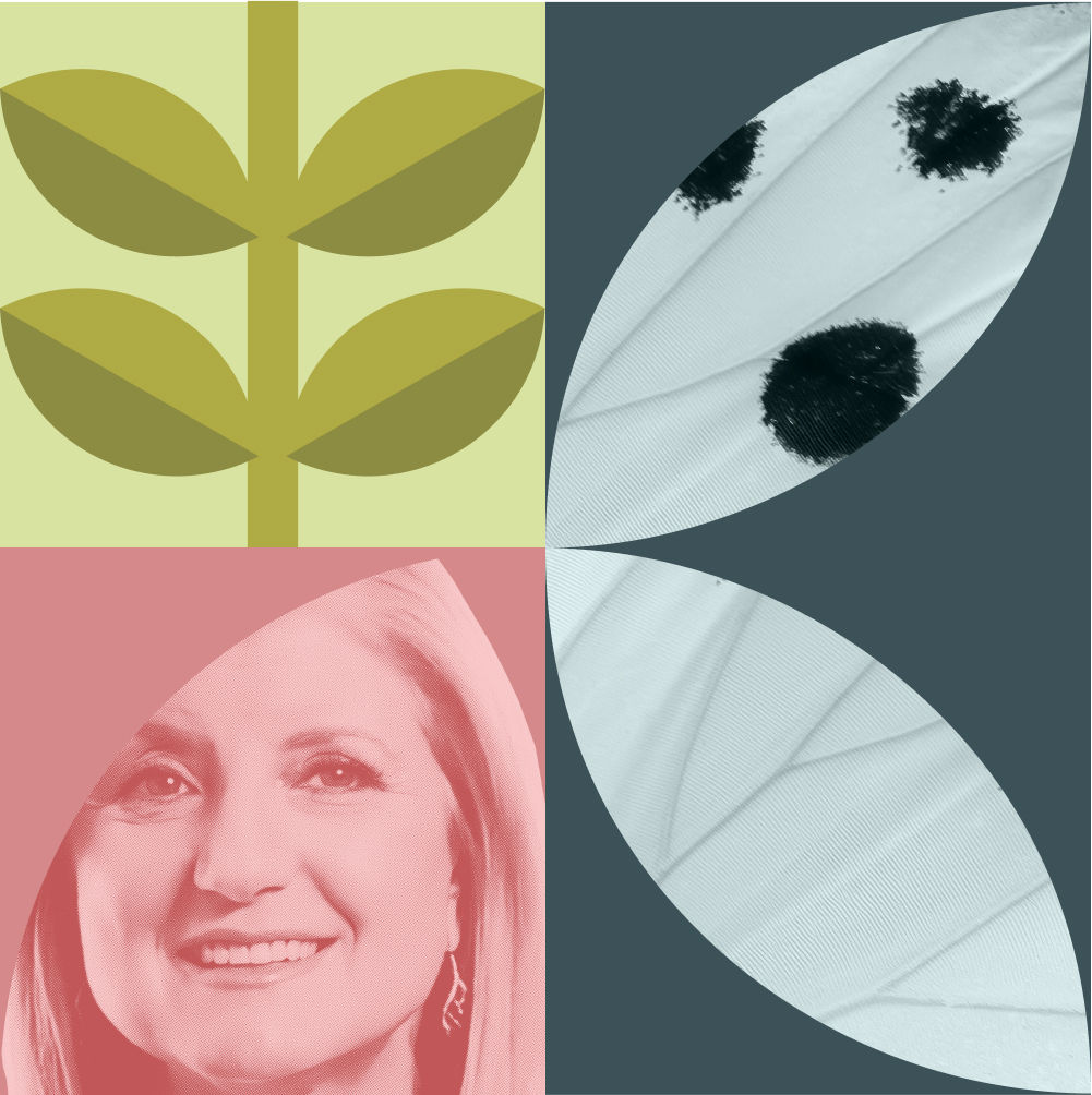 A graphic with four quadrants: a plant icon, a close-up of a leaf with black spots, a red-tinted woman's face, and a white leaf on a gray background.