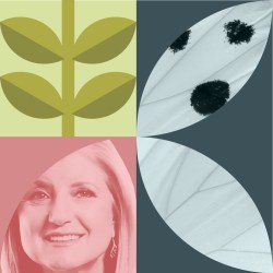 Rethinking Achievement in a Burnout Culture