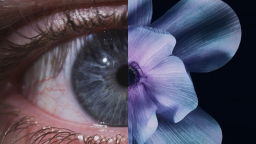 Close-up split image showing the left half of a human eye and the right half of a purple flower, highlighting the detail and texture of both subjects.