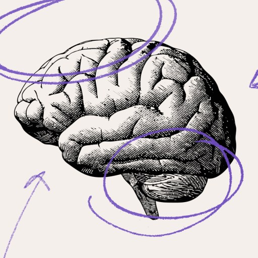 Black and white illustration of a human brain with purple scribble circles and arrows pointing toward it on a light background, perfect for those interested in books about the brain.