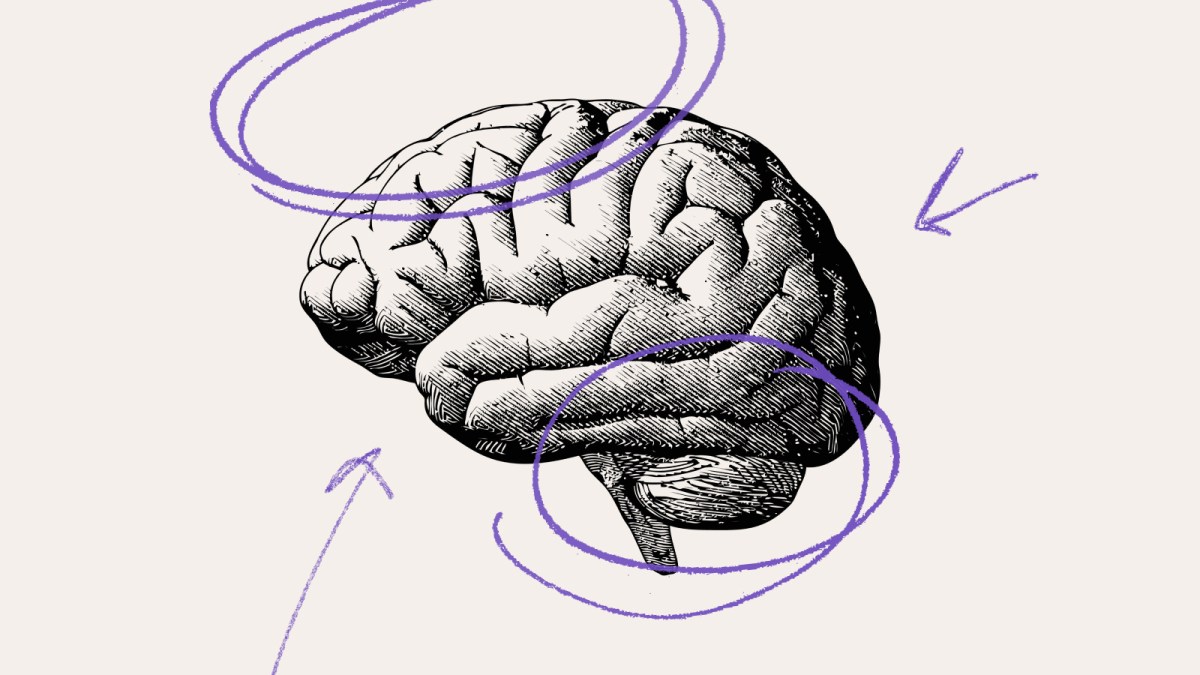 Black and white illustration of a human brain with purple scribble circles and arrows pointing toward it on a light background, perfect for those interested in books about the brain.