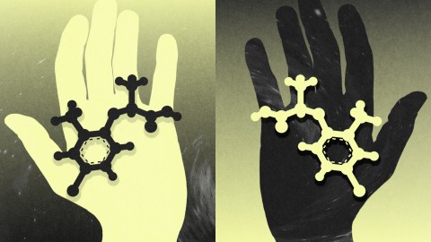 Two hands, one light and one dark, each holding a contrastingly colored molecular structure against a gradient background.
